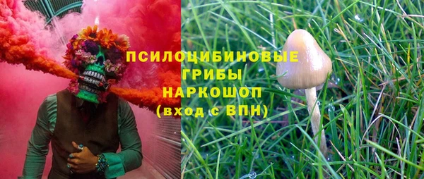 герыч Новозыбков