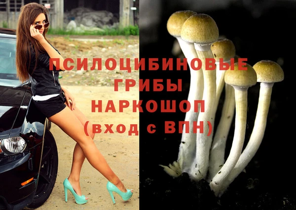 ECSTASY Алексеевка