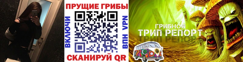 Галлюциногенные грибы Cubensis  где найти наркотики  Майкоп 