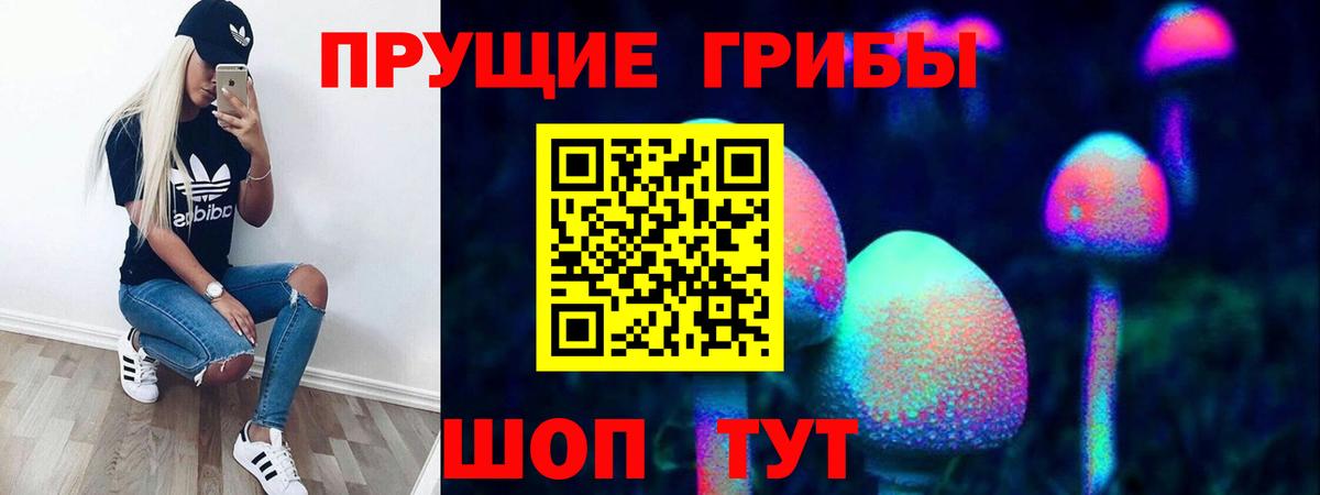 Псилоцибиновые грибы Psilocybe  Псилоцибиновые грибы MAGIC MUSHROOMS  где можно купить   Майкоп  Вход с VPN 